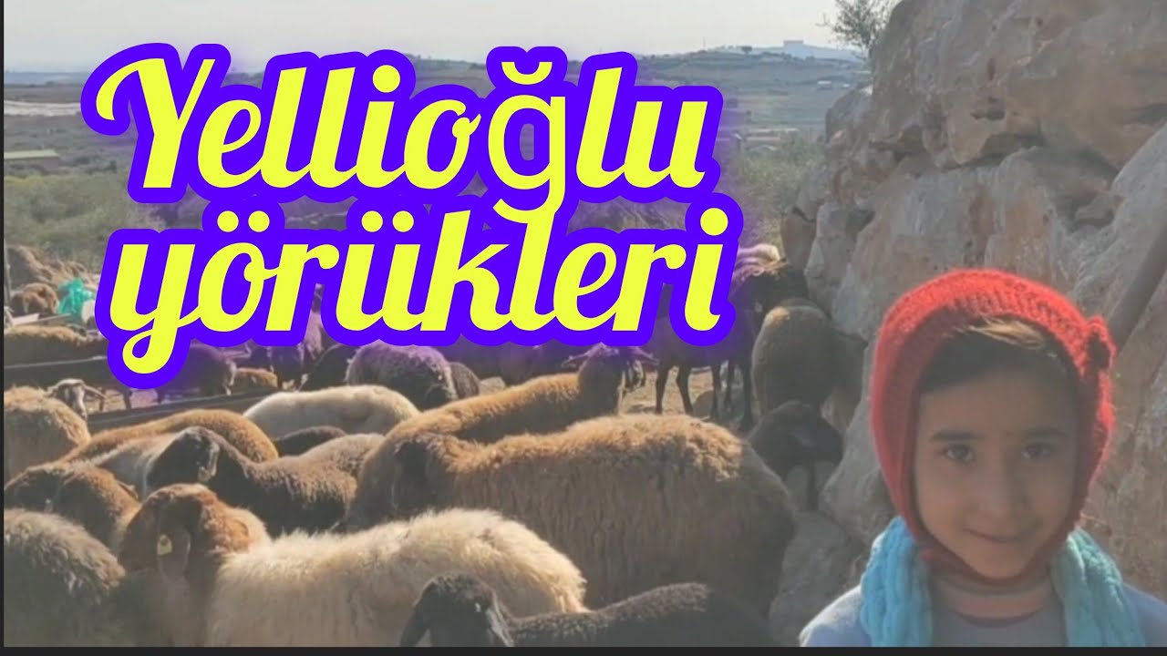 YÖRÜKOĞLU TÜM ÜRÜNLERİ
