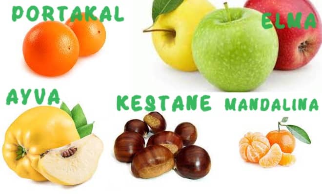 SUPERFRESH Ton balıkları Meyve Sebze konserveleri ve donmuş meyve sebzeleri serbest