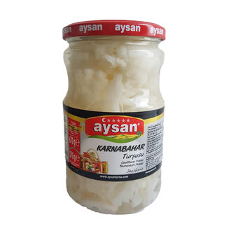 Aysan Turşuları